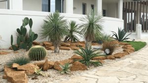 taman kering